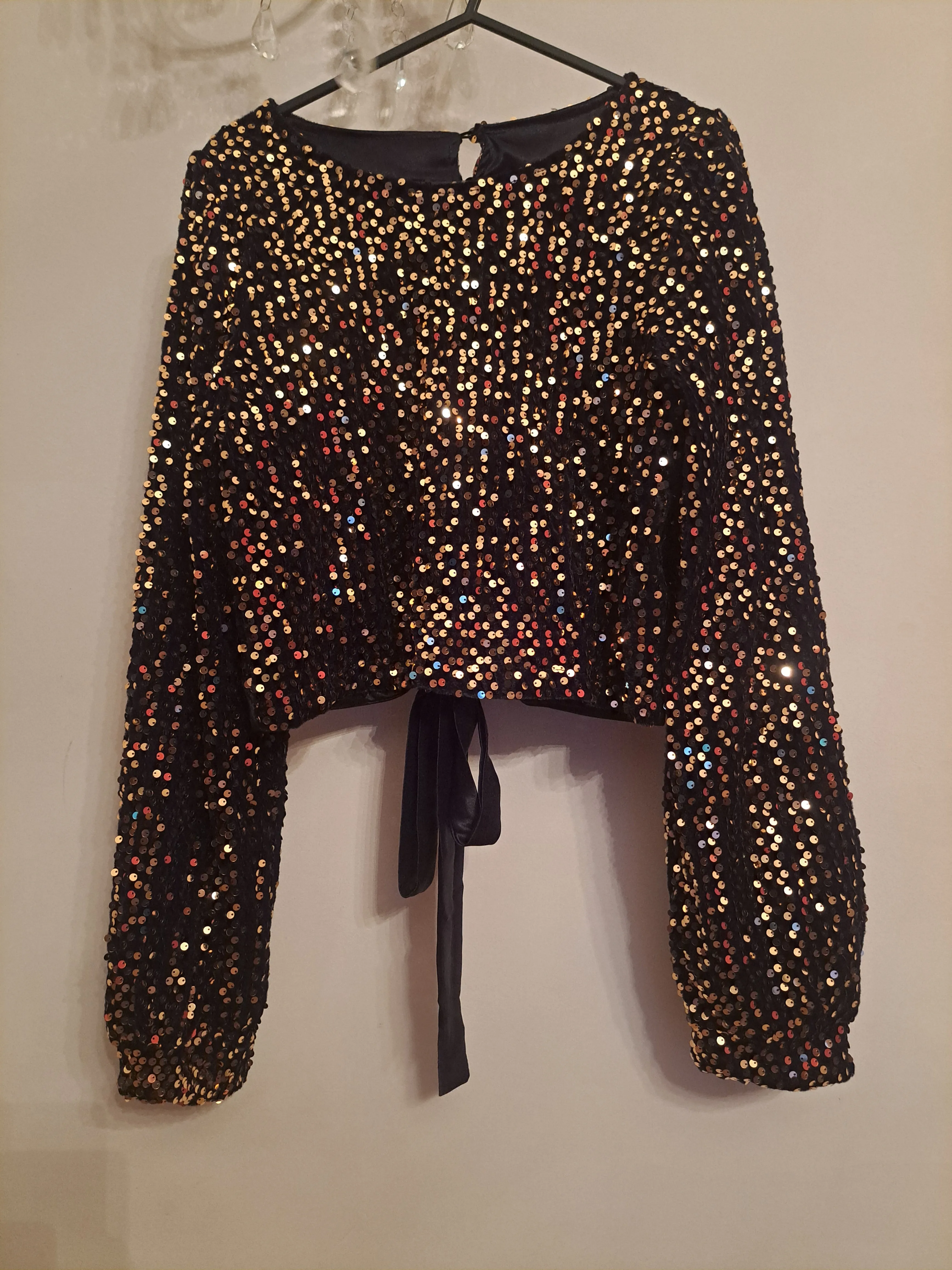 Open Back Long Sleeve Sequin Top