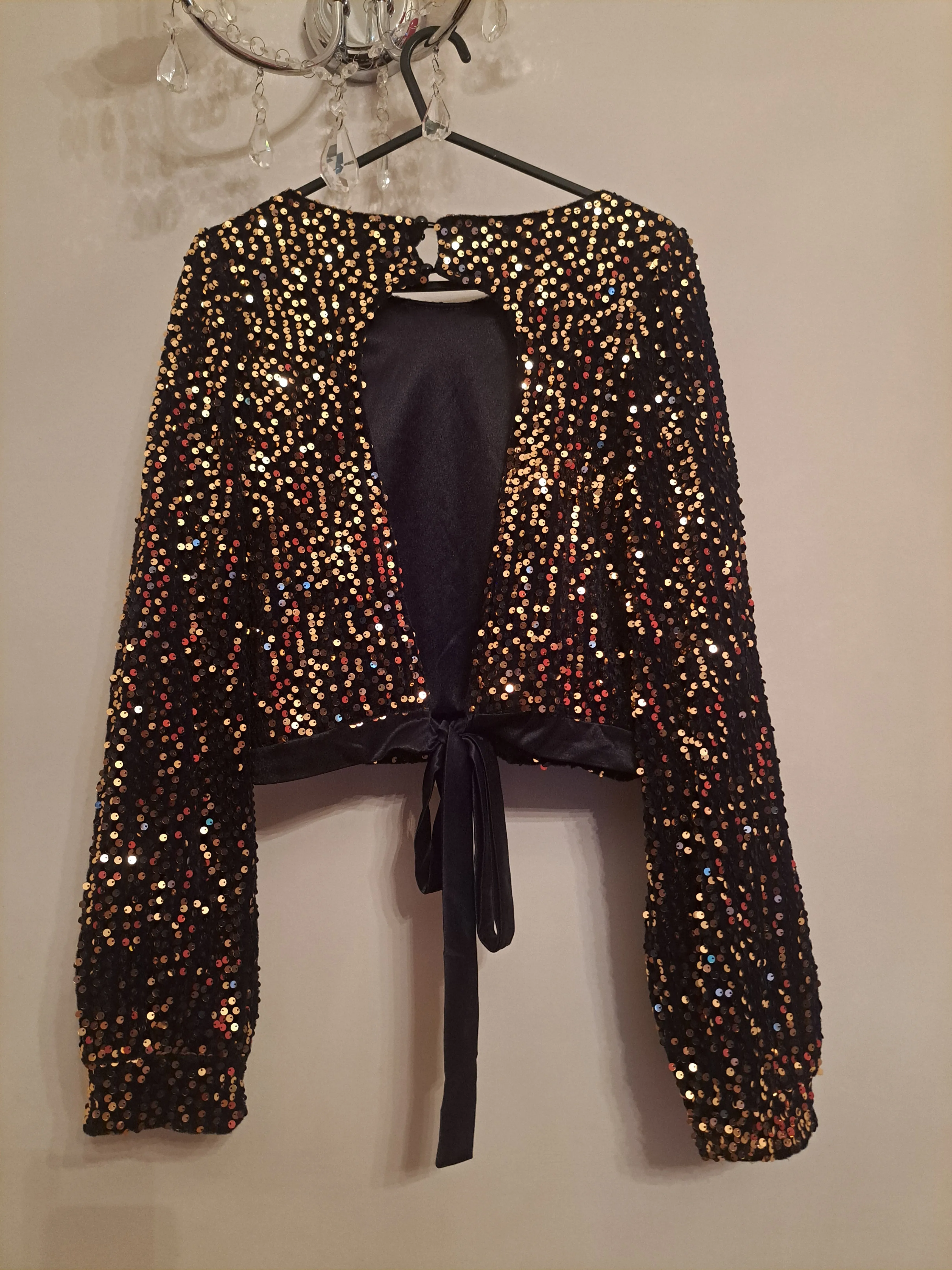 Open Back Long Sleeve Sequin Top