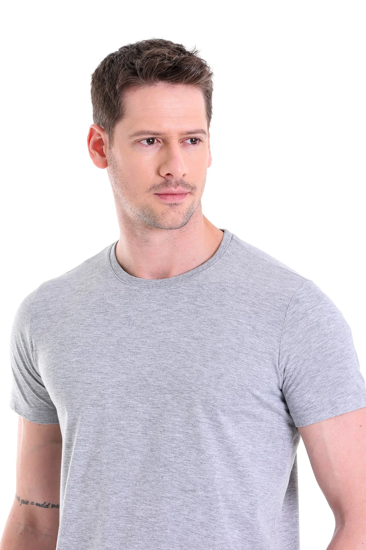 Regular Fit Gray Melange Basic Cotton Crew Neck T-Shirt